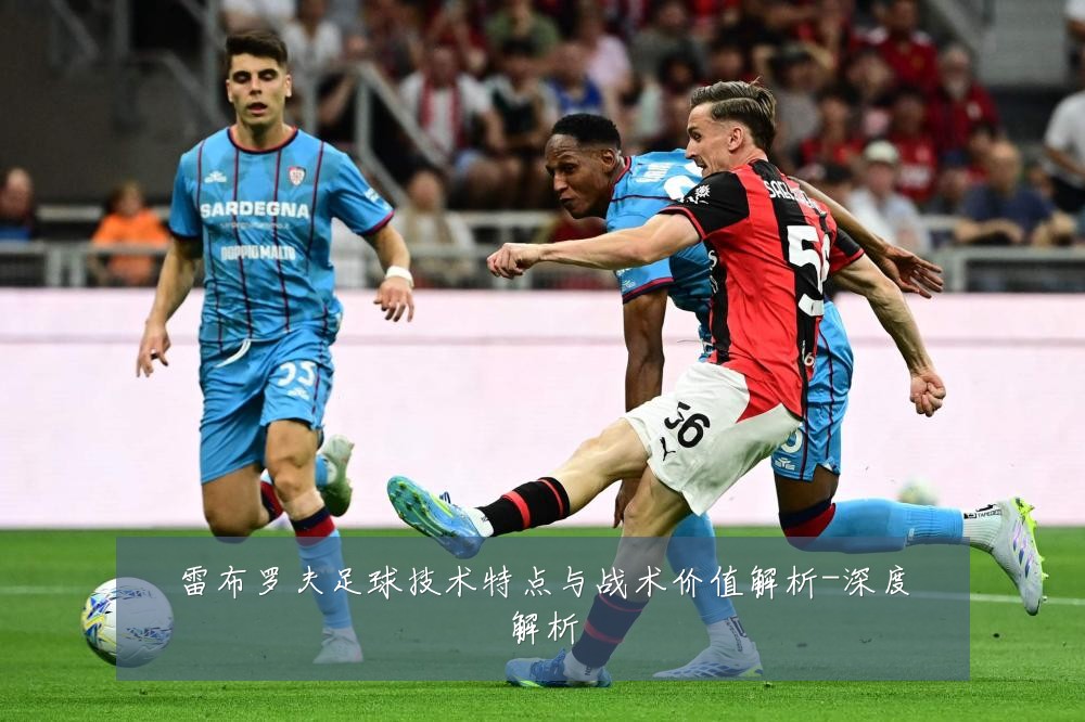 雷布罗夫足球技术特点与战术价值解析-深度解析